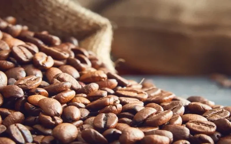 coffee-beans-header-desktop